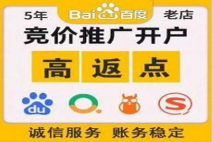 某电商平台的SEM推广实践与效果展示